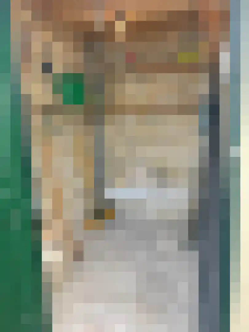 Schilderend 25 Den Burg thumbnail 25
