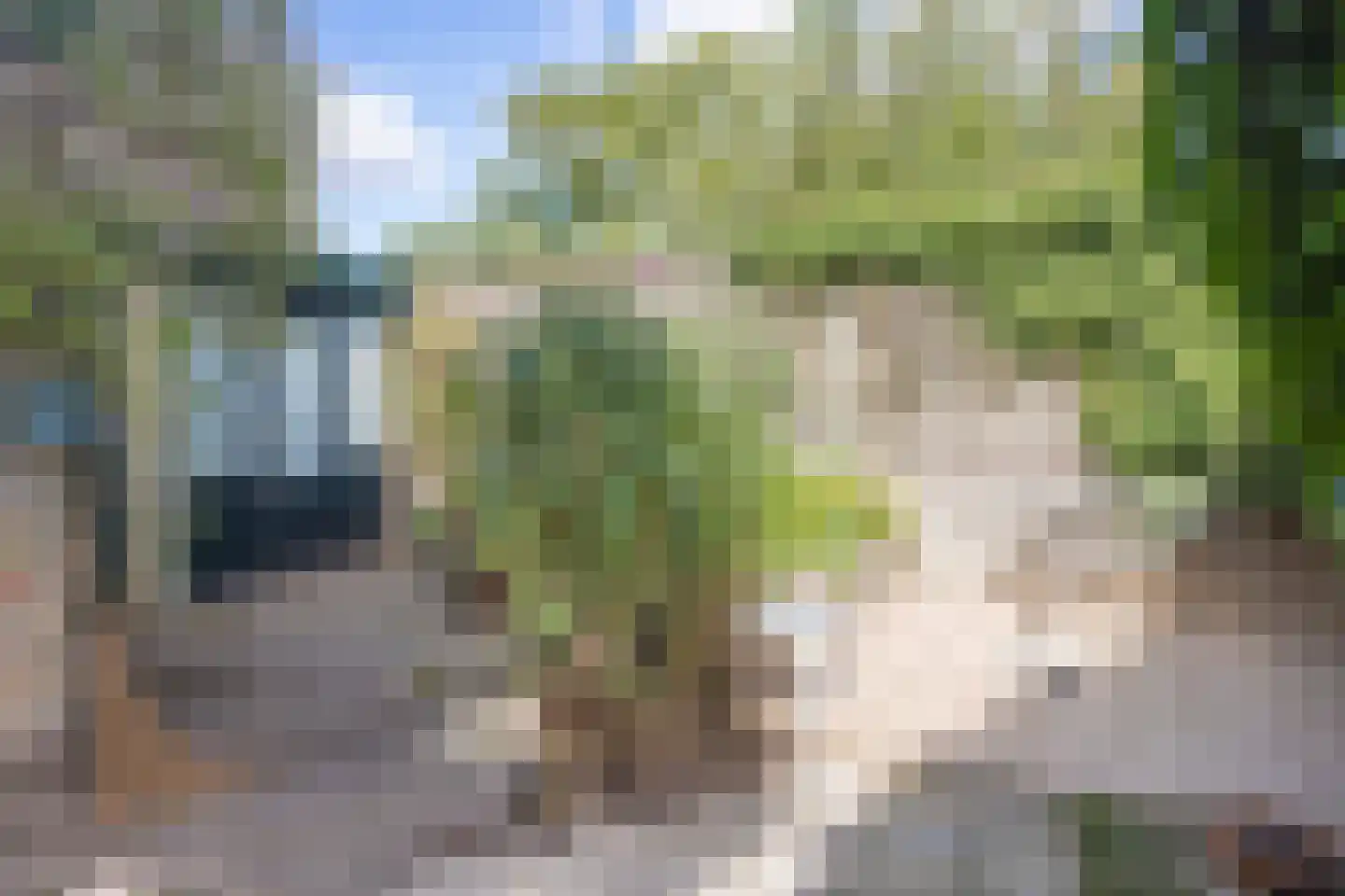 Schilderend 25 Den Burg thumbnail 26