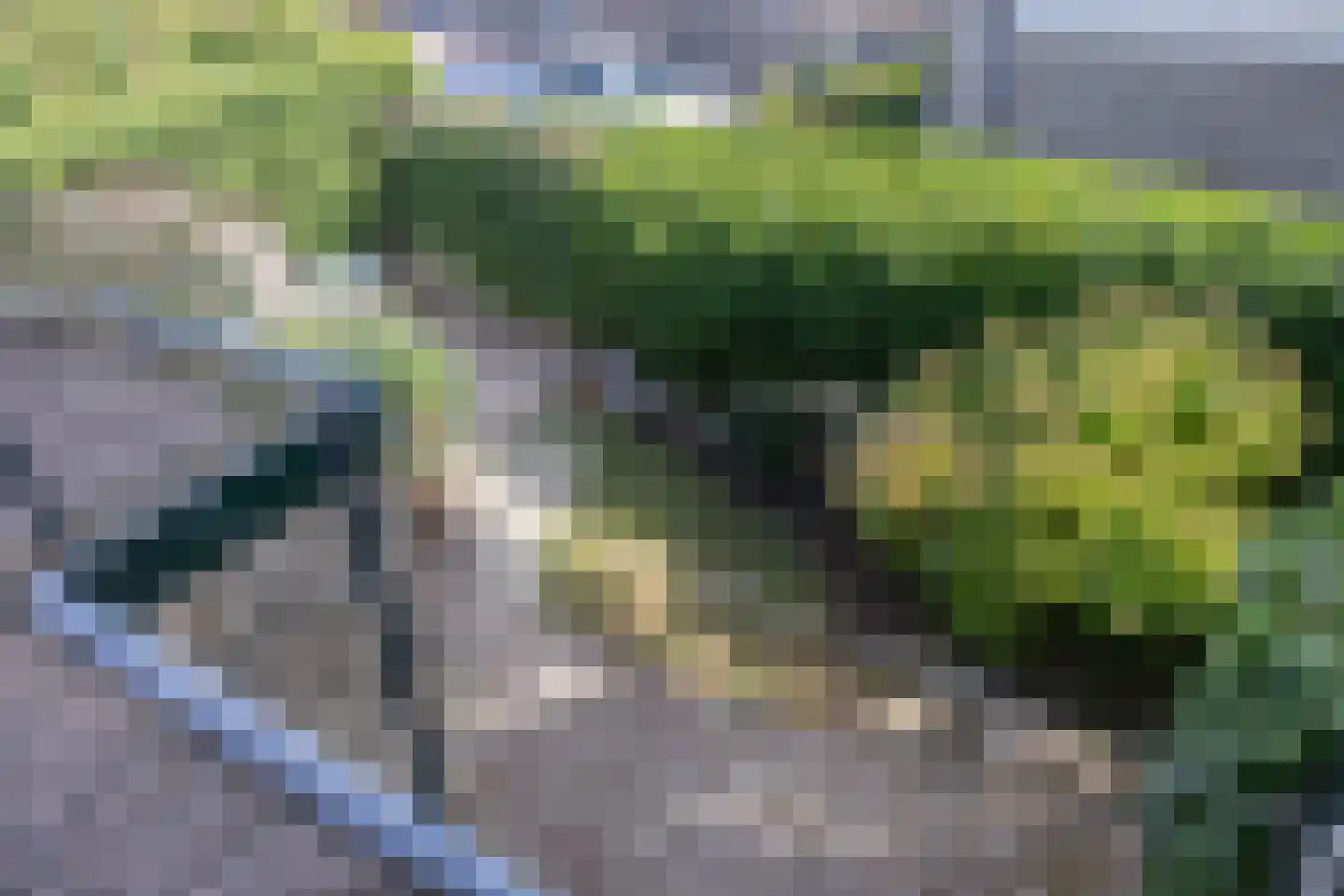 Schilderend 25 Den Burg thumbnail 28