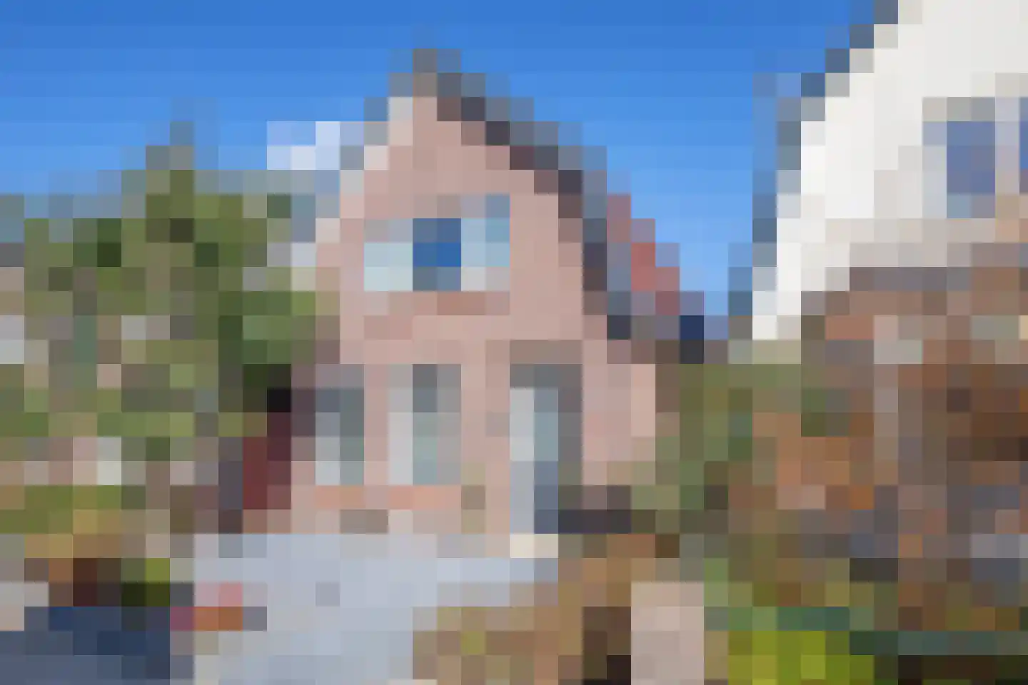 Schilderend 87 Den Burg