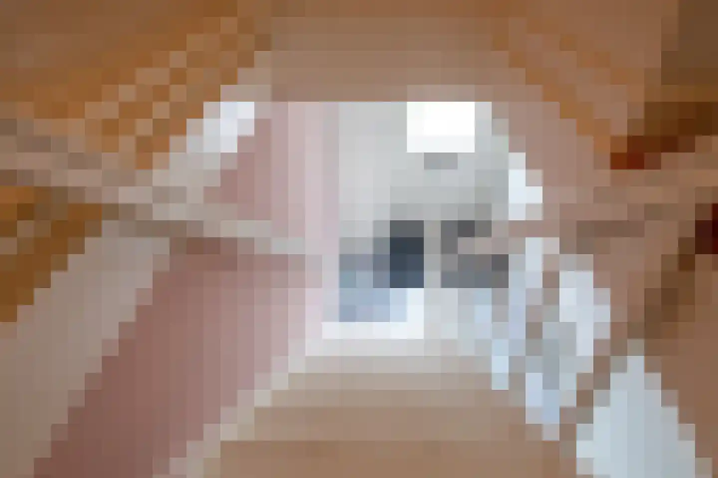 Schilderend 87 Den Burg thumbnail 24