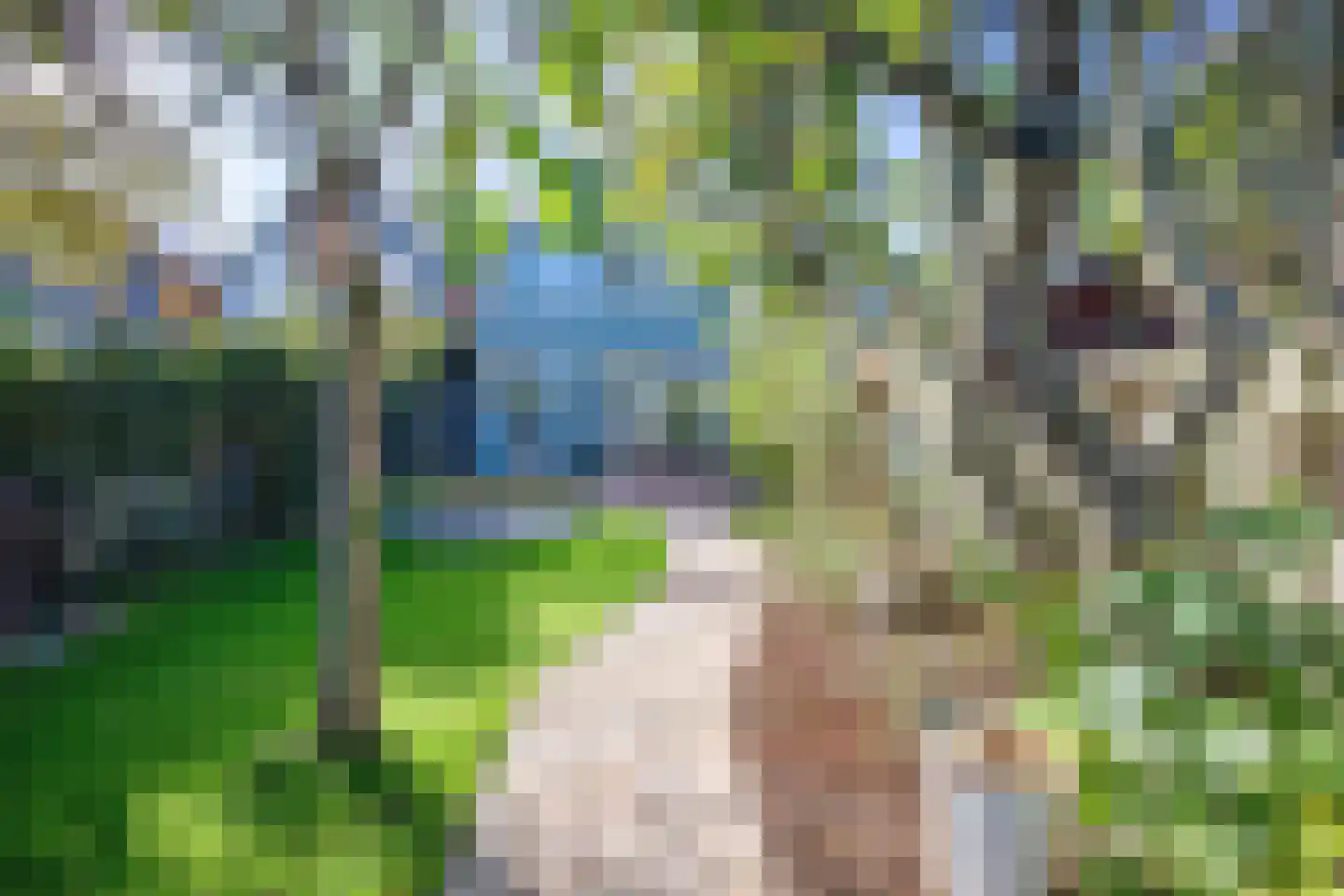 Schilderend 87 Den Burg thumbnail 4