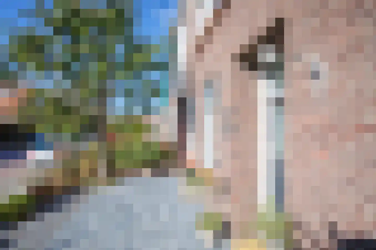 Schilderend 87 Den Burg thumbnail 48