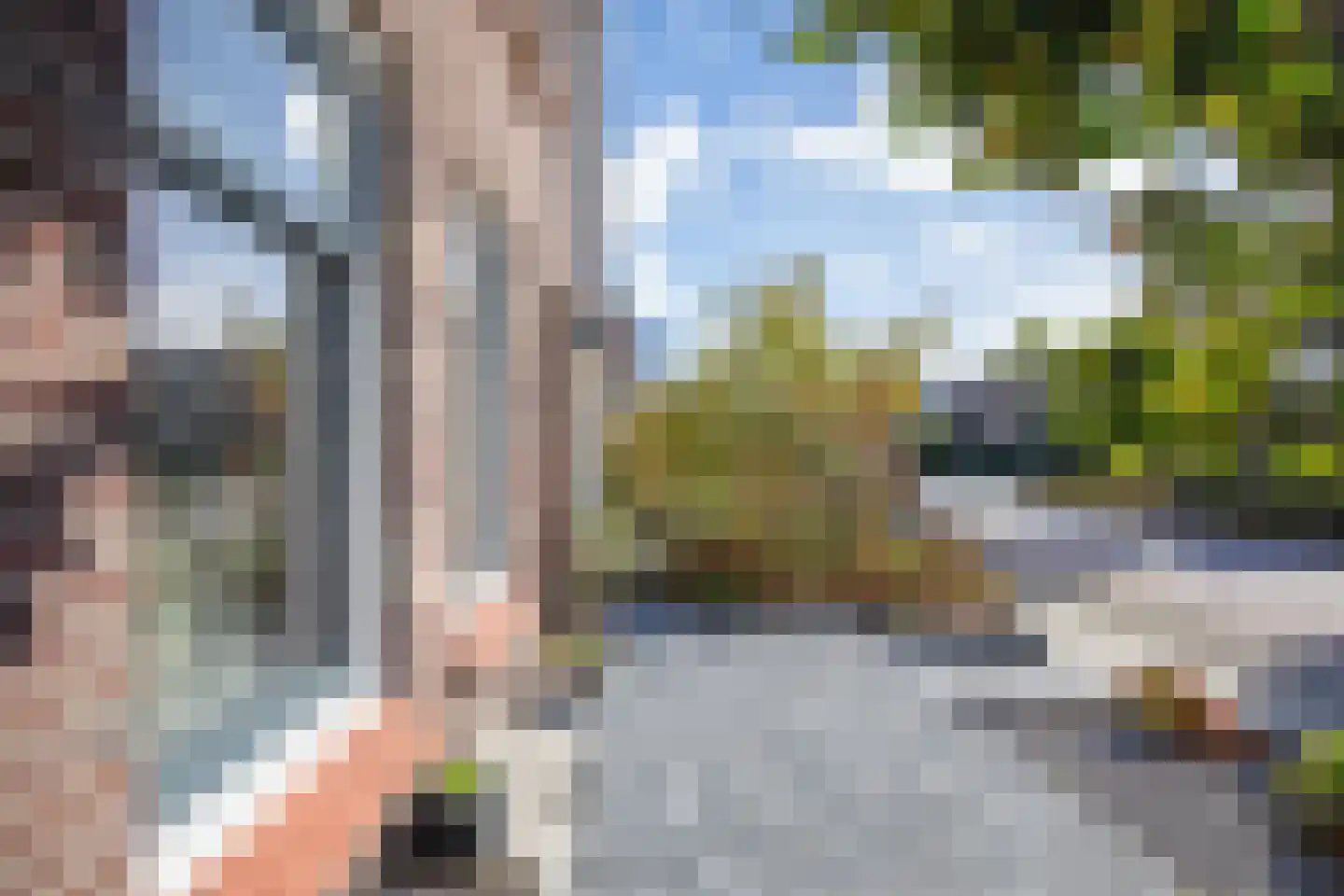 Schilderend 87 Den Burg thumbnail 49