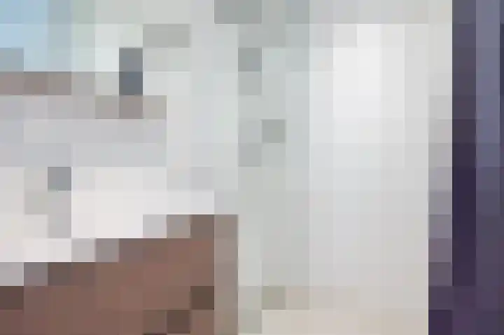 Schilderhof 11 Almere thumbnail 23