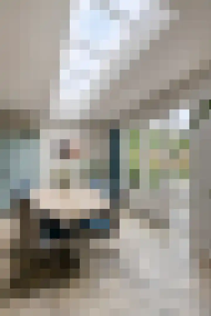 Schildershof 3 A Sint-Michielsgestel thumbnail 12