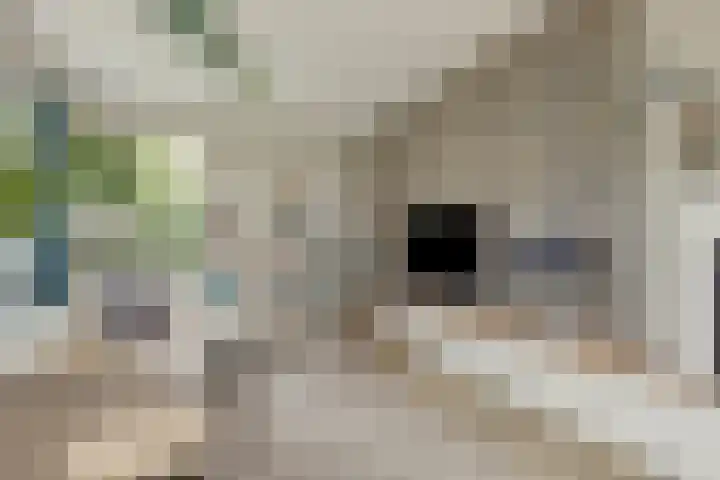 Schildershof 3 A Sint-Michielsgestel thumbnail 14