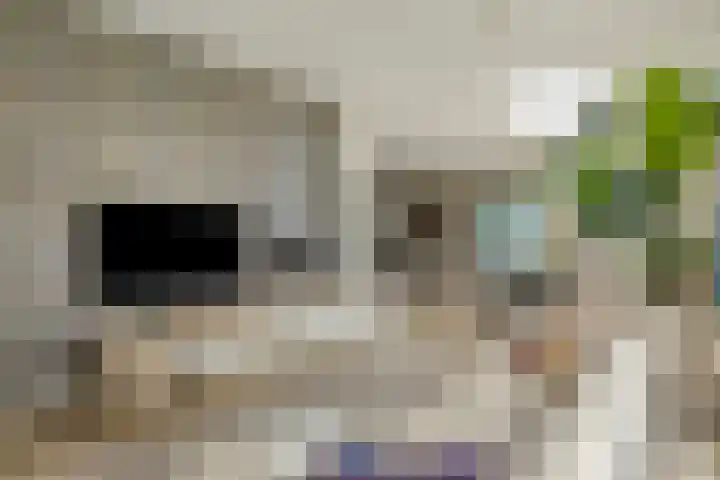 Schildershof 3 A Sint-Michielsgestel thumbnail 16