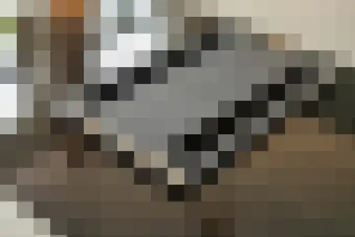 Schildershof 3 A Sint-Michielsgestel thumbnail 22