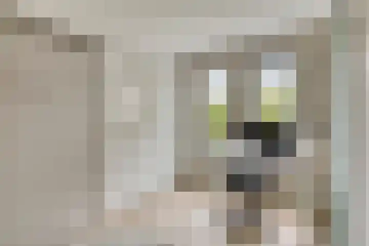 Schildershof 3 A Sint-Michielsgestel thumbnail 25