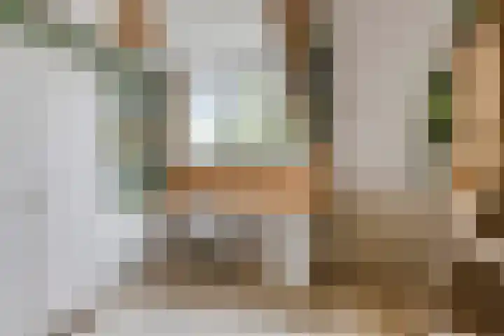 Schildershof 3 A Sint-Michielsgestel thumbnail 34