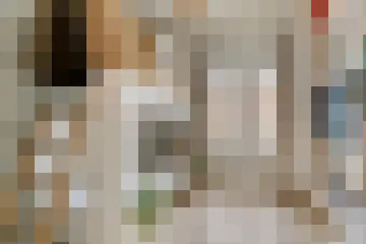 Schildershof 3 A Sint-Michielsgestel thumbnail 38