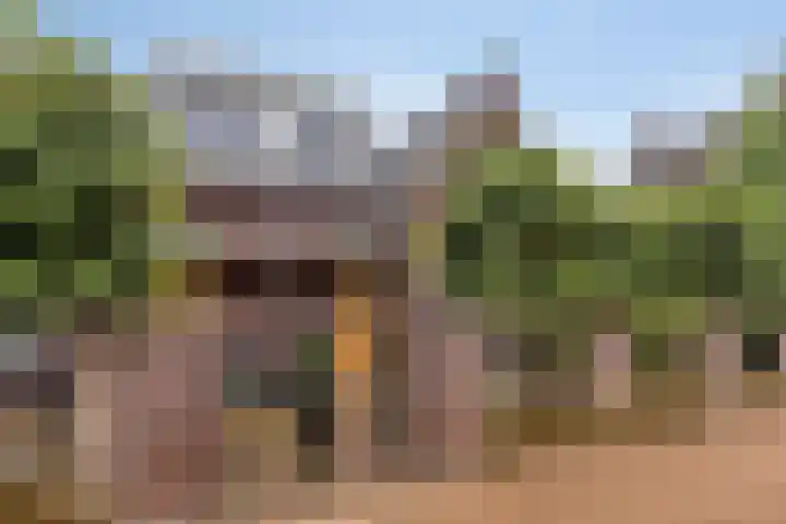 Schildershof 3 A Sint-Michielsgestel thumbnail 4