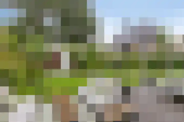 Schildershof 3 A Sint-Michielsgestel thumbnail 43