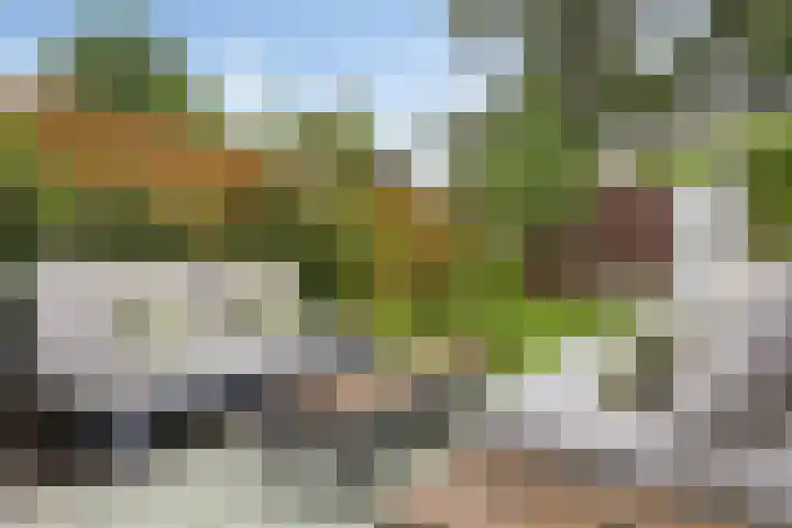 Schildershof 3 A Sint-Michielsgestel thumbnail 44