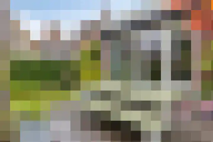 Schildershof 3 A Sint-Michielsgestel thumbnail 45