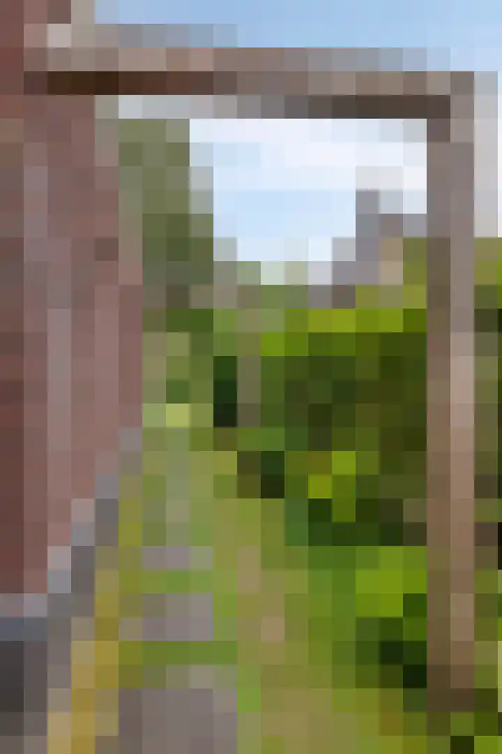 Schildershof 3 A Sint-Michielsgestel thumbnail 48