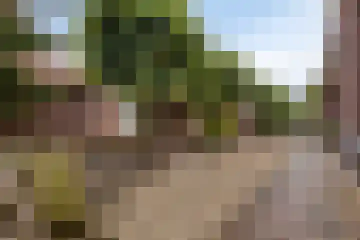 Schildershof 3 A Sint-Michielsgestel thumbnail 49