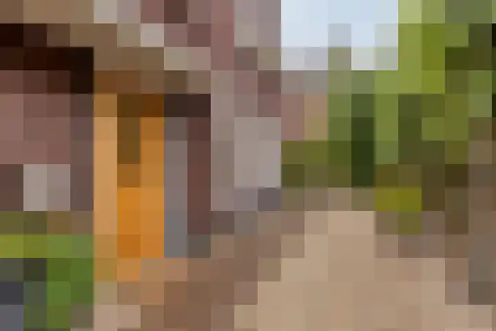 Schildershof 3 A Sint-Michielsgestel thumbnail 6