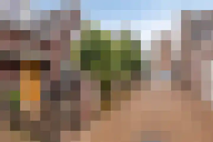 Schildershof 3 A Sint-Michielsgestel thumbnail 62