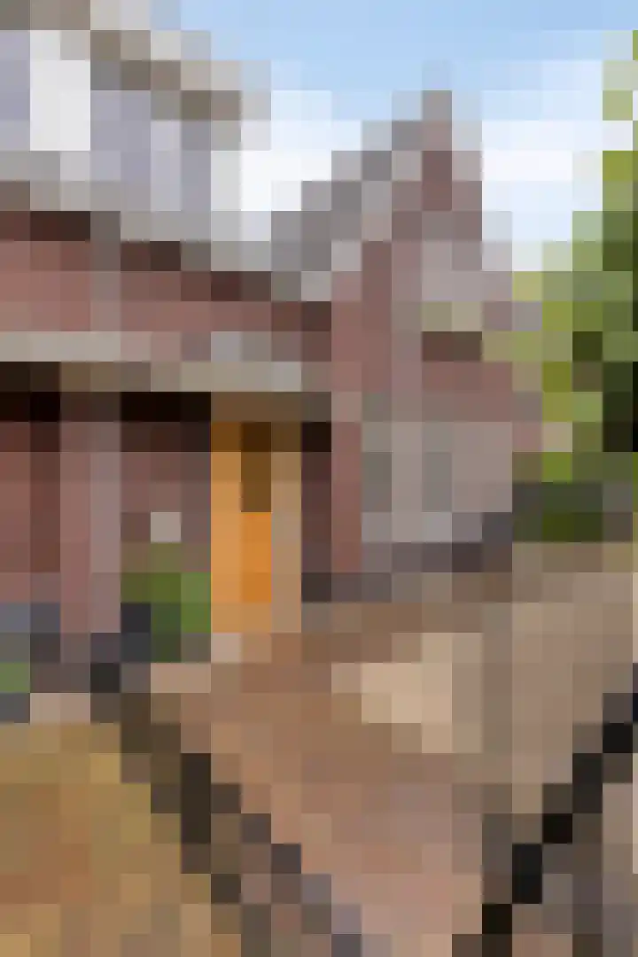 Schildershof 3 A Sint-Michielsgestel thumbnail 7