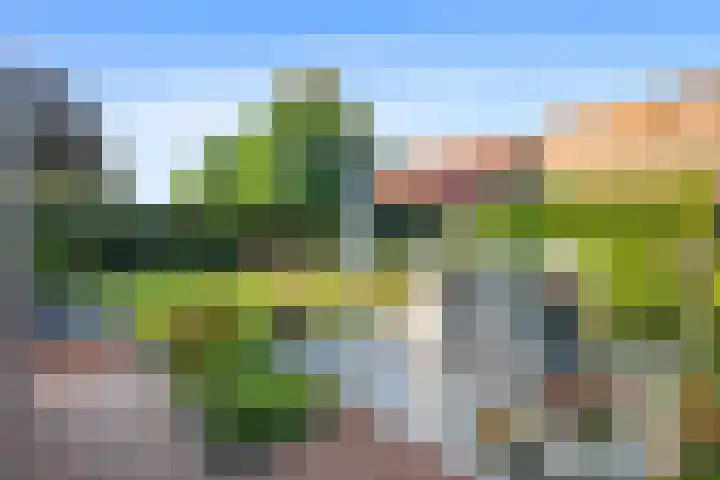 Schilderslaan 15 Veendam thumbnail 38