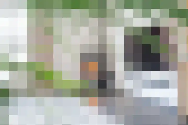 Schilderslaan 15 Veendam thumbnail 9