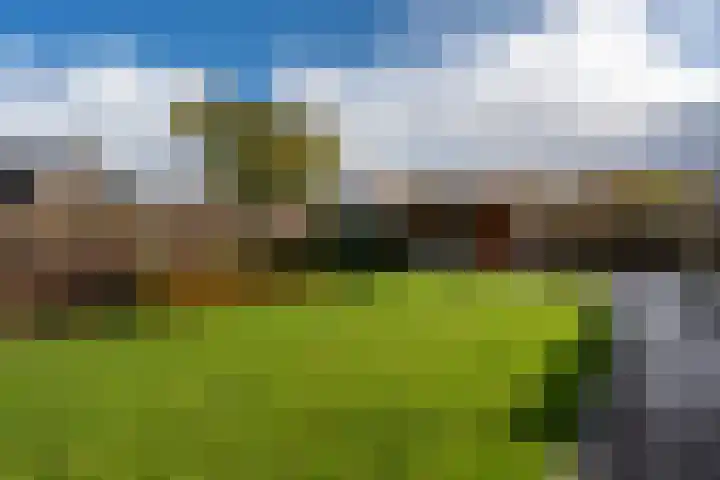 Schilderslaan 30 Veendam thumbnail 45