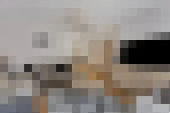 Schilderslaan 94 Bergen L thumbnail 10
