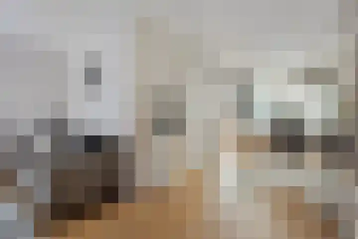 Schilderslaan 94 Bergen L thumbnail 13