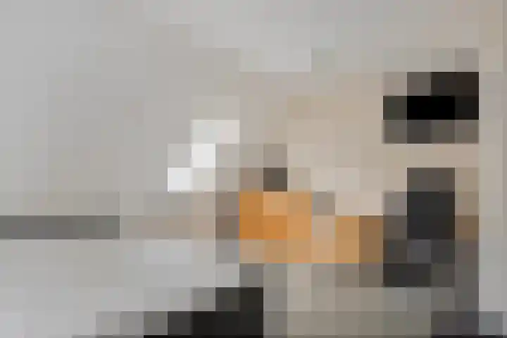 Schilderslaan 94 Bergen L thumbnail 24