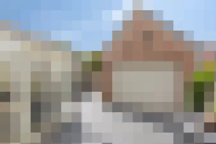 Schilderslaan 94 Bergen L thumbnail 31