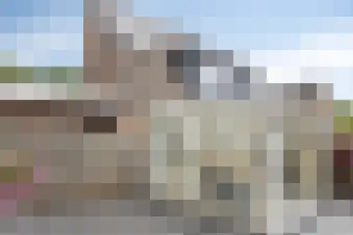 Schilderslaan 94 Bergen L thumbnail 32