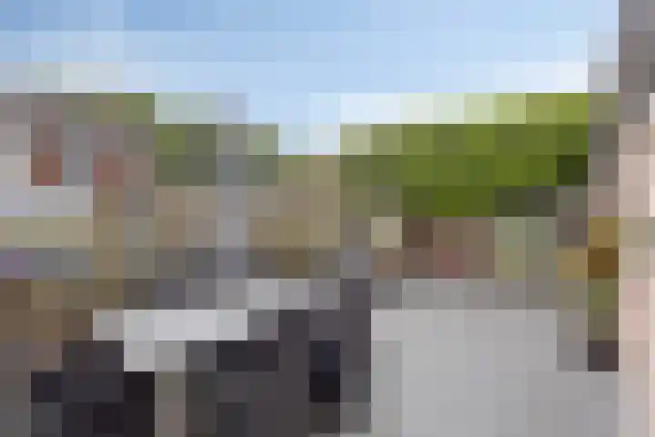 Schilderslaan 94 Bergen L thumbnail 33