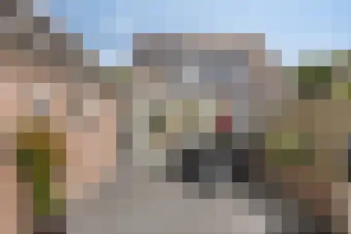 Schilderslaan 94 Bergen L thumbnail 5