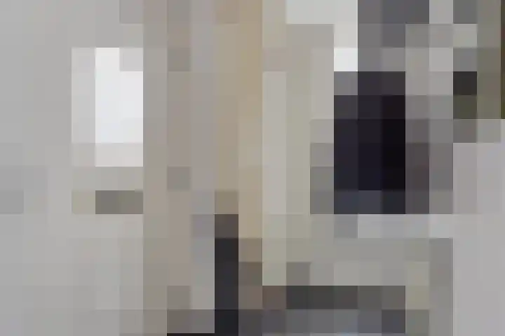 Schilderslaan 94 Bergen L thumbnail 8
