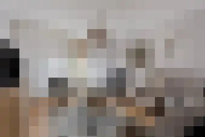 Schilderslaan 94 Bergen L thumbnail 9