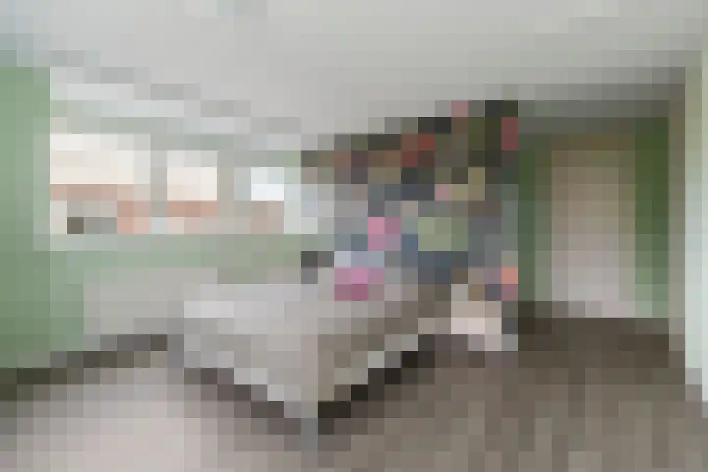 Schildersloot 2 Broek op Langedijk thumbnail 17