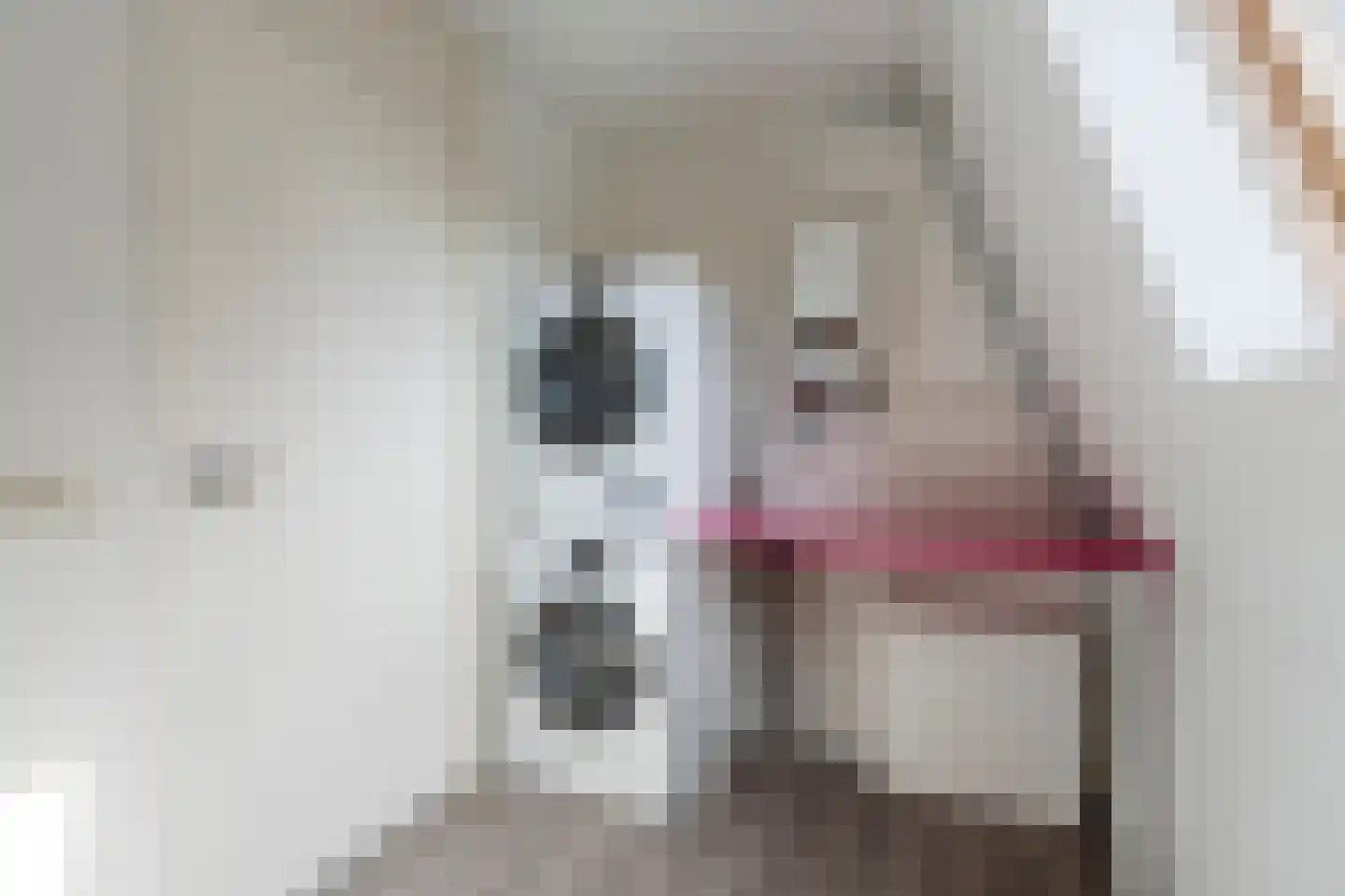 Schildersloot 2 Broek op Langedijk thumbnail 23