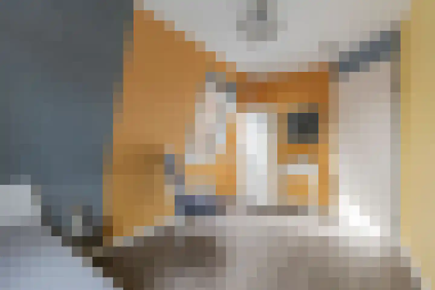 Schildersloot 2 Broek op Langedijk thumbnail 26