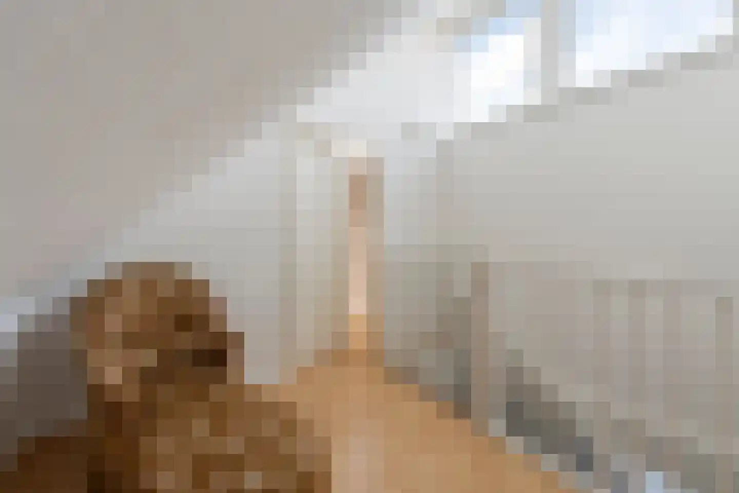 Schildersloot 2 Broek op Langedijk thumbnail 30