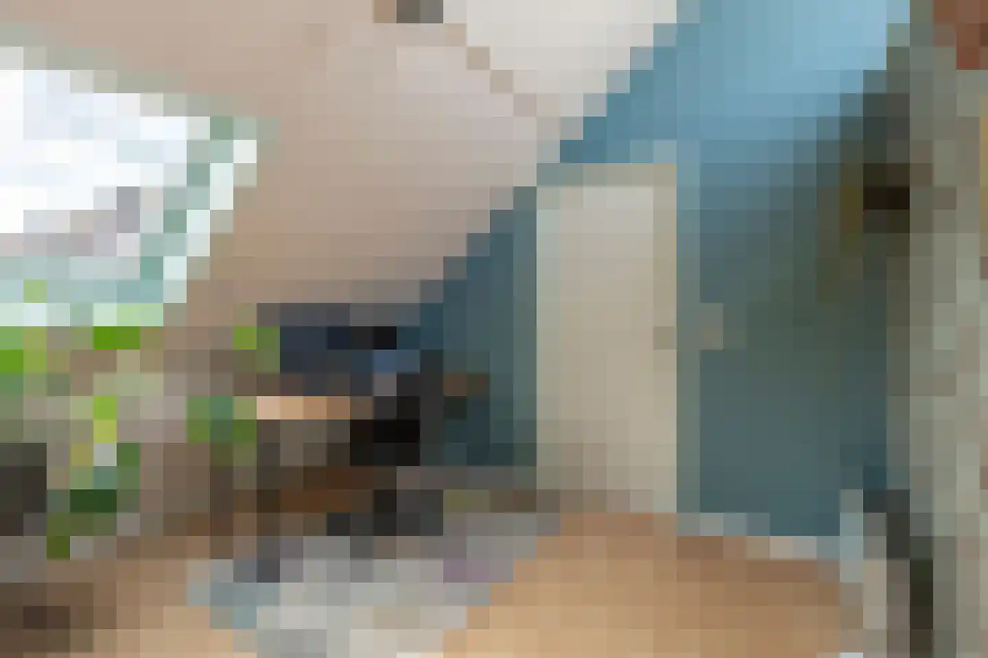 Schildersloot 2 Broek op Langedijk thumbnail 32