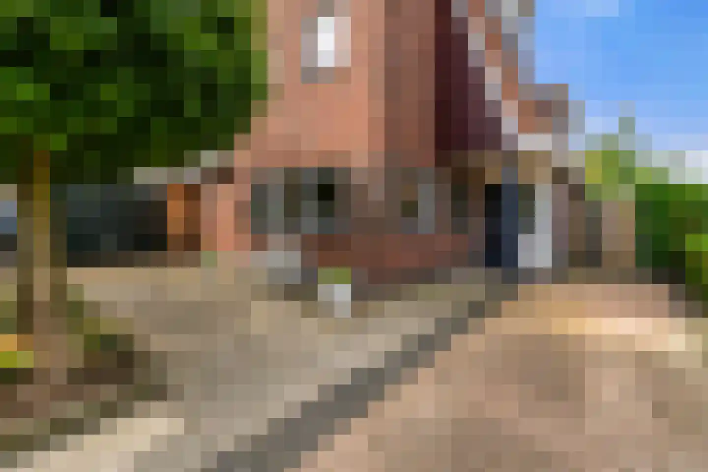 Schildersloot 2 Broek op Langedijk thumbnail 44