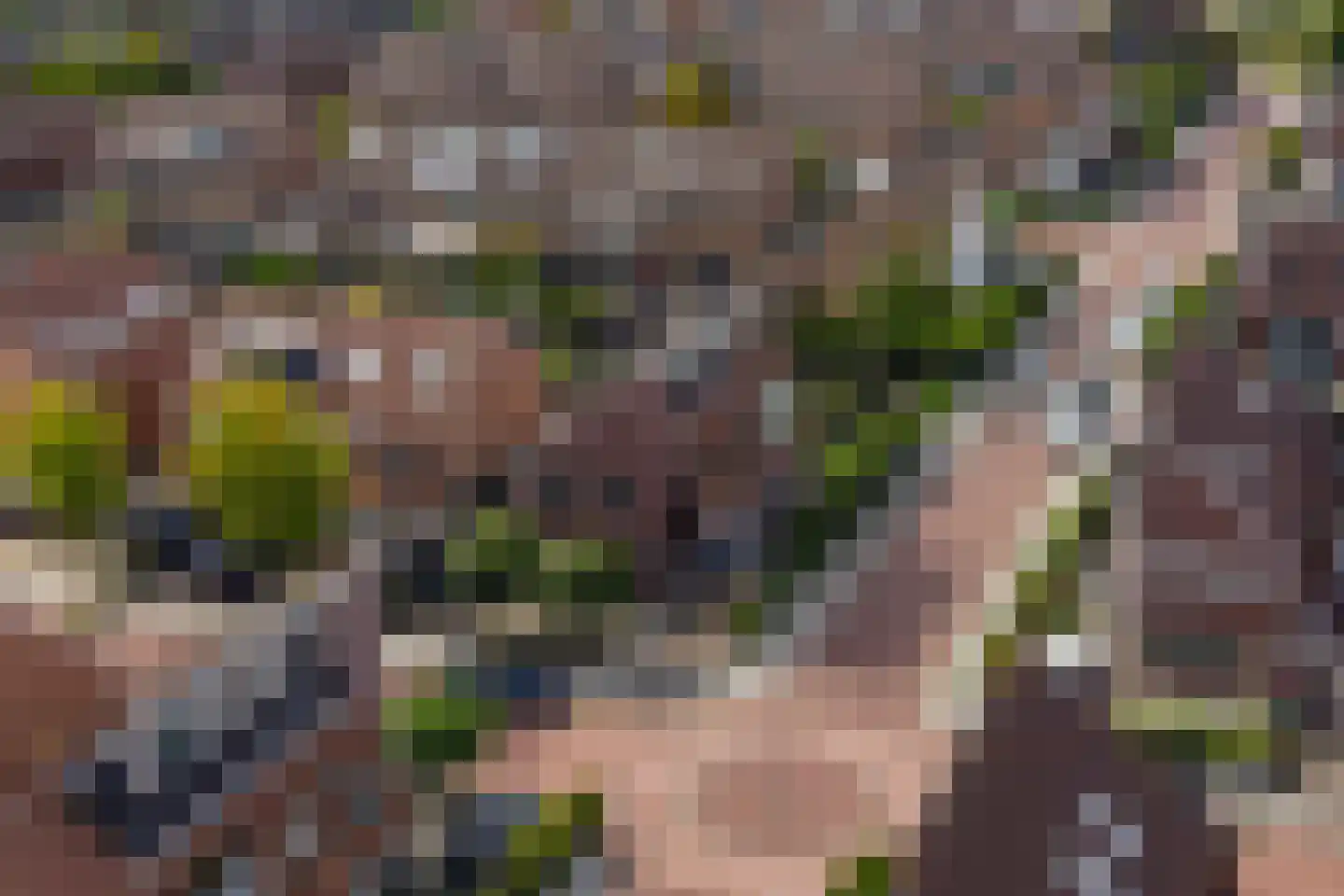 Schildersloot 2 Broek op Langedijk thumbnail 45