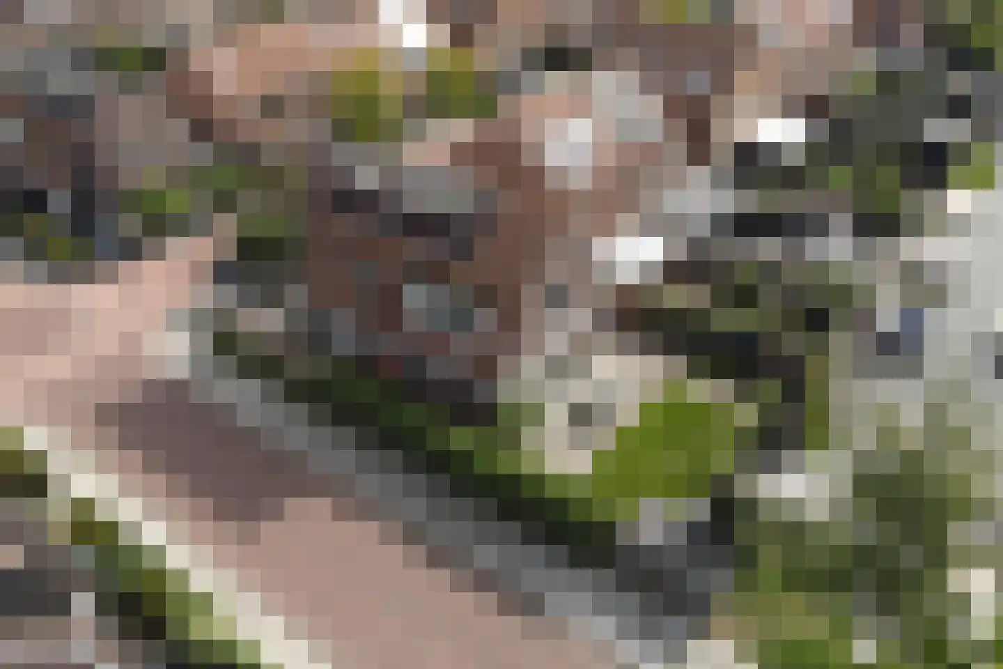 Schildersloot 2 Broek op Langedijk thumbnail 5