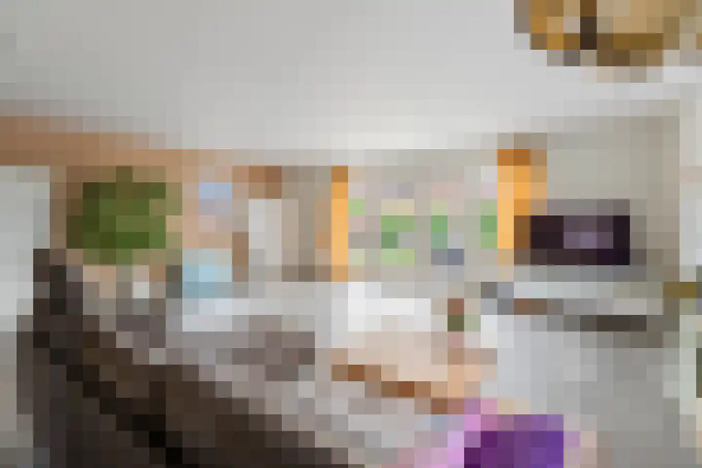 Schildersloot 2 Broek op Langedijk thumbnail 7