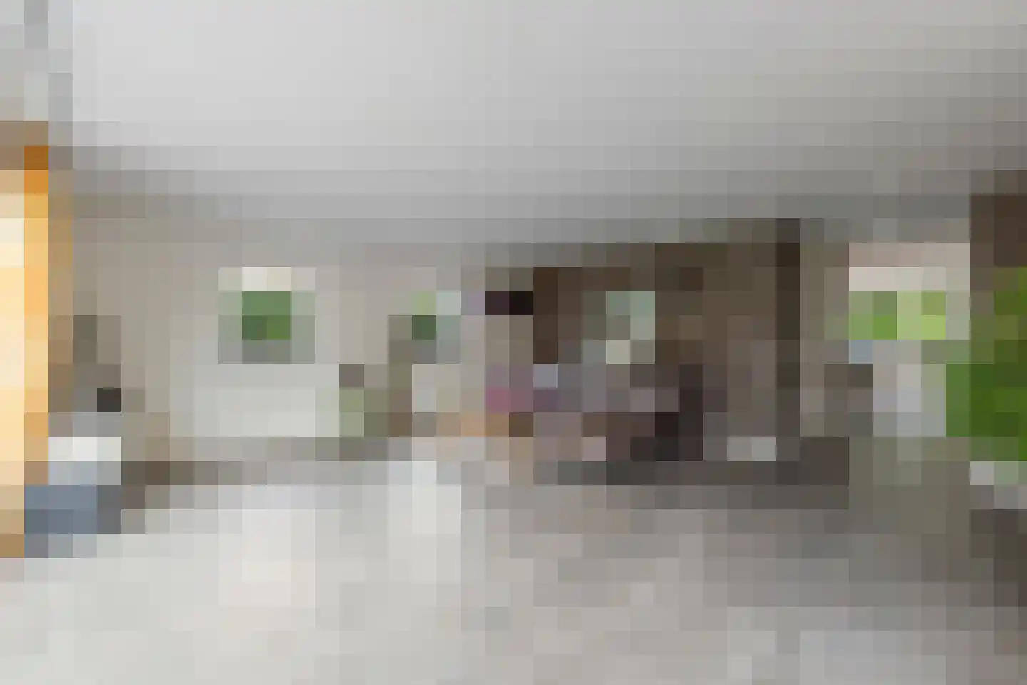 Schildersloot 2 Broek op Langedijk thumbnail 9