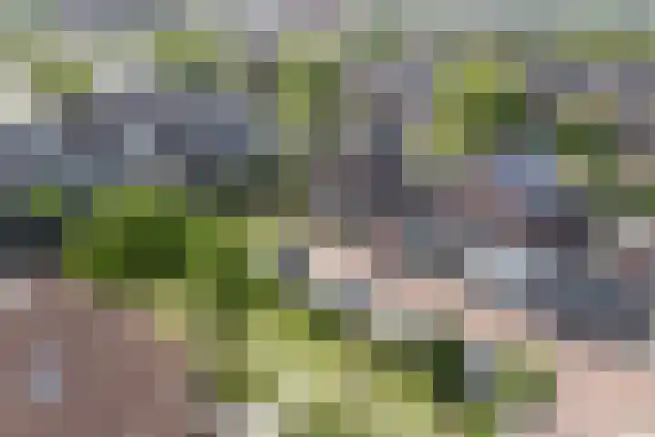 Schildersloot 34 Broek op Langedijk thumbnail 35