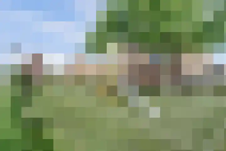 Schildersloot 34 Broek op Langedijk thumbnail 36