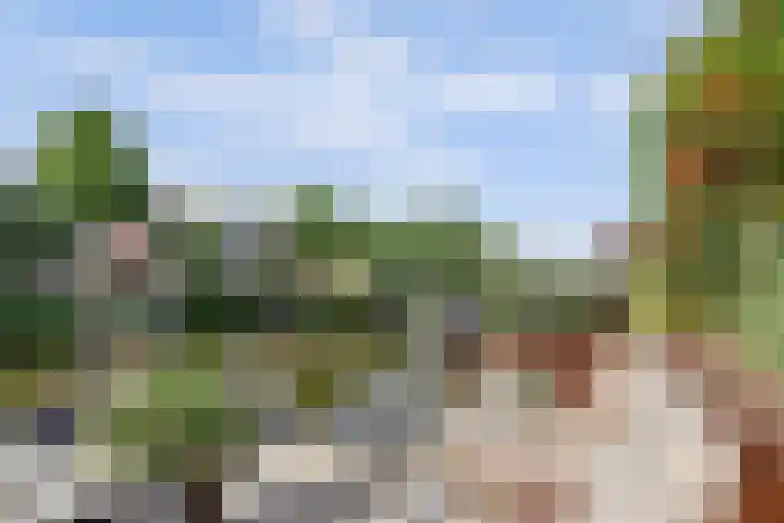 Schildersloot 34 Broek op Langedijk thumbnail 4